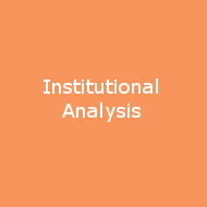 Institutional Analysis navigation button