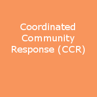 Coordinated Community Response (CCR) navigation button