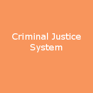 Criminal Justice System navigation button